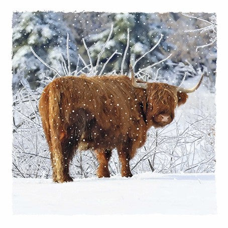 Christmas Card Pack - A Christmas Coo