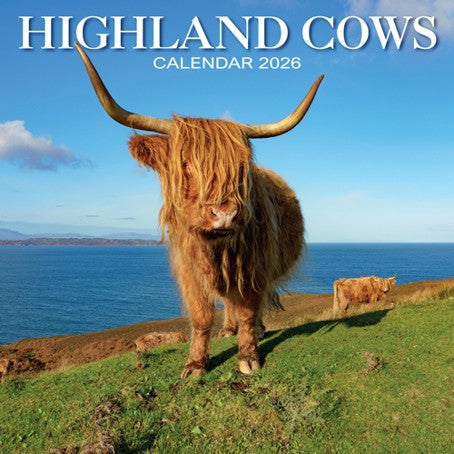 Calendar - Highland Cows 2026