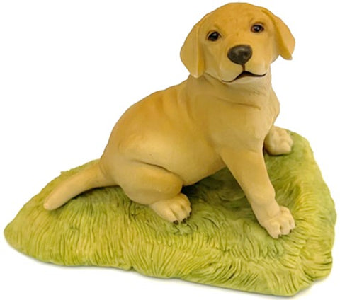 Labrador Pup by Teviotdale