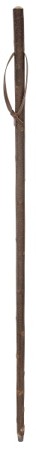 Walking Stick - Chestnut Hiker