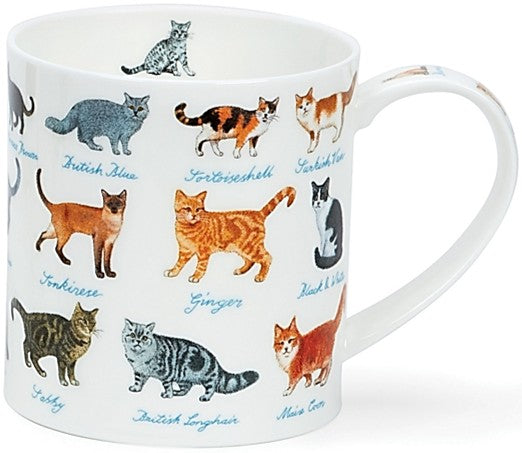 Dunoon Orkney - On The Farm Horses