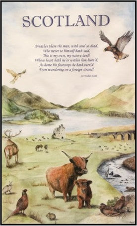 Tea Towel - Highland Scene