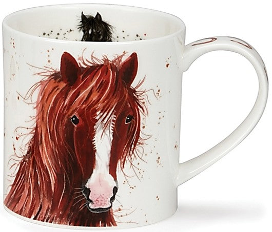 Dunoon Orkney - Shaggy Tails Horse