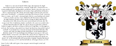 Coffee Mug - Irish/Family A-F