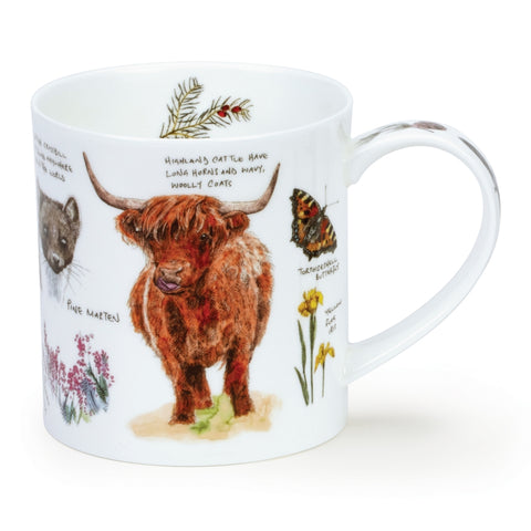 Dunoon Orkney - Notebook Highland Cow