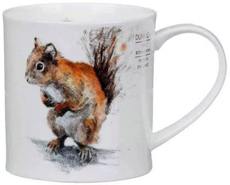 Dunoon Orkney - Red Squirrel