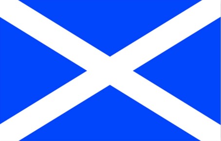 Bumper Sticker - Saltire