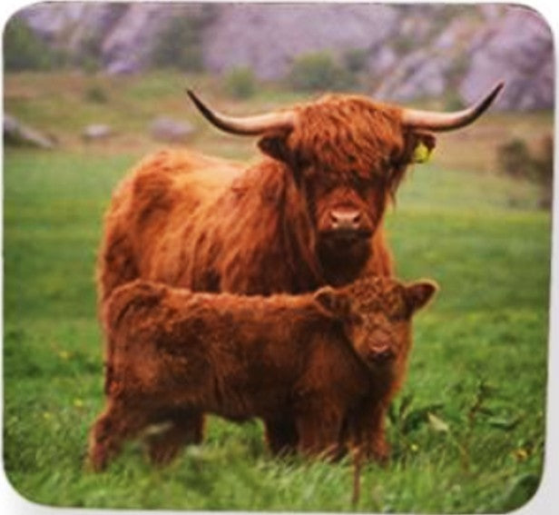Highland Family Coasters Set of 6