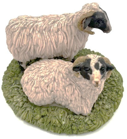 Black Faced Sheep by Glen Lusset Studios