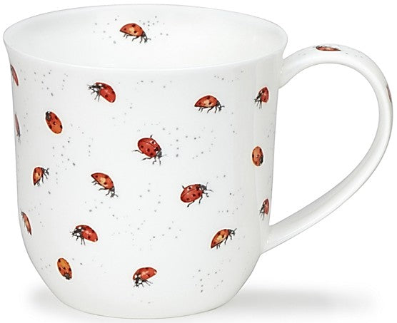 Dunoon Cumbrae - Ladybirds