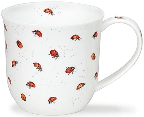 Dunoon Cumbrae - Ladybirds