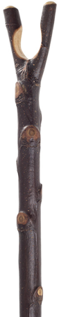 Thumbstick Hiker - Natural Chestnut