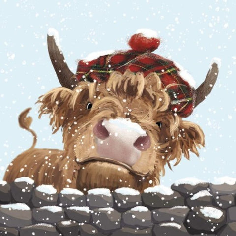 Christmas Card Pack - Och Aye The Coo