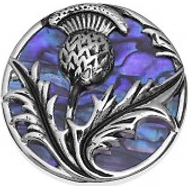 Brooch - Thistle Paua Shell - Various Colours