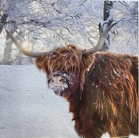 Notecard - Winter Highland Cow