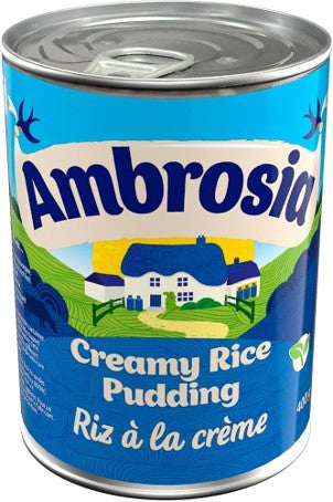 Ambrosia Rice Pudding