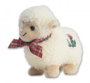 Scottish Sheep
