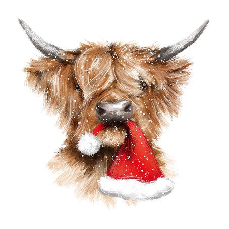 Notecard - A Christmas Coo