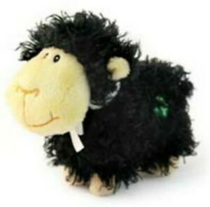 Irish Sheep