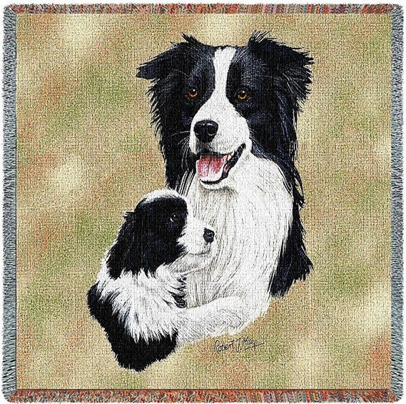 Blanket - Border Collie & Pup