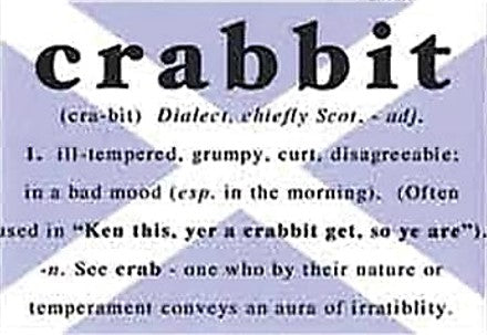 Fridge Magnet - Crabbit