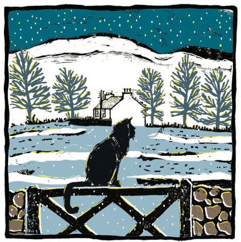 Christmas Card Pack - Dubh The Cat