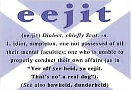 Fridge Magnet - Eejit