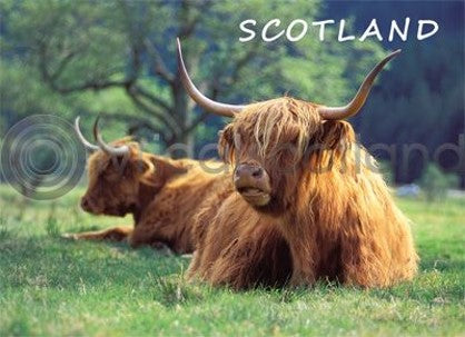 Fridge Magnet - Highlanders in the Glen