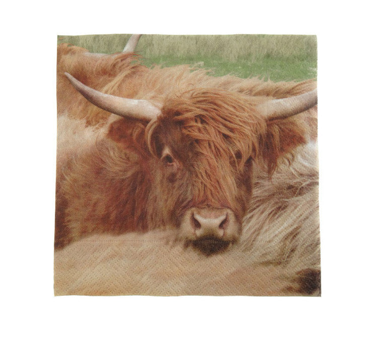 Serviettes - Luncheon - Heilan' Cow