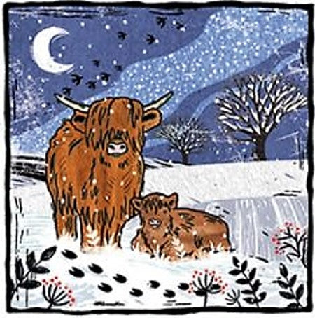 Christmas Card Pack - Coos on a Moonlicht Nicht