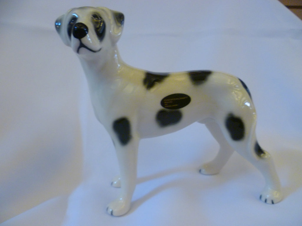 Great Dane