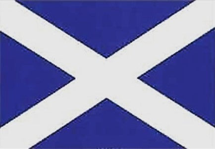 Fridge Magnet - Saltire