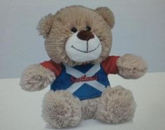 Scotland T-Shirt Teddy
