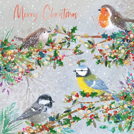 Christmas Card Pack - Scottish Birds at Christmas