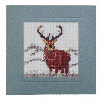 Cross Stitch Kits - Card Kit