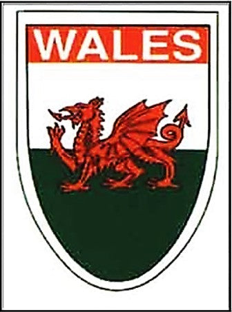 Fridge Magnet - Wales Shield