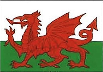 Fridge Magnet - Welsh Flag