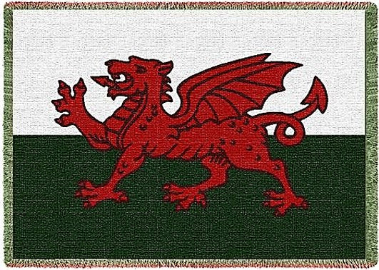 Blanket - Welsh Flag