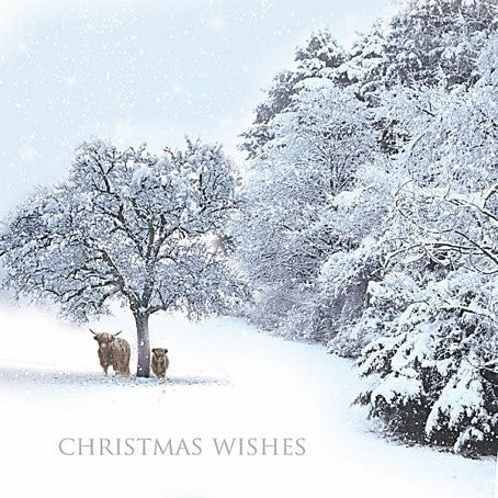 Christmas Card Pack - Winter Cow Scene