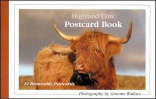 Postcard Book - Highland Cows