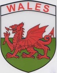 Window Sticker - Wales Shield