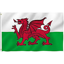 Welsh Flag